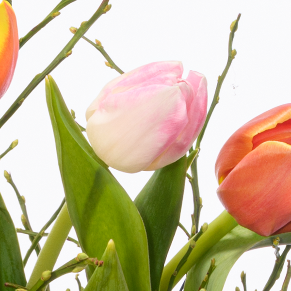 floraprima Blumenbund Kleines Glück mit Vase & Ferrero Giotto 3er