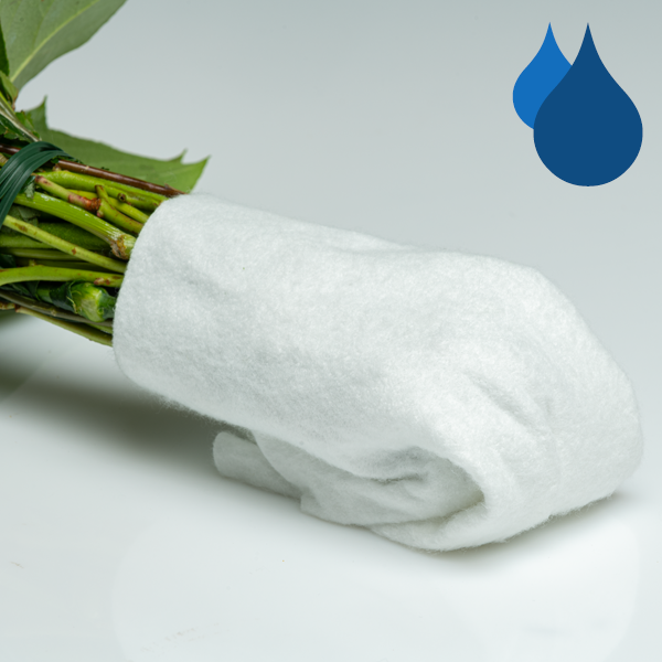floraprima 50 rote Fairtrade Rosen im Bund