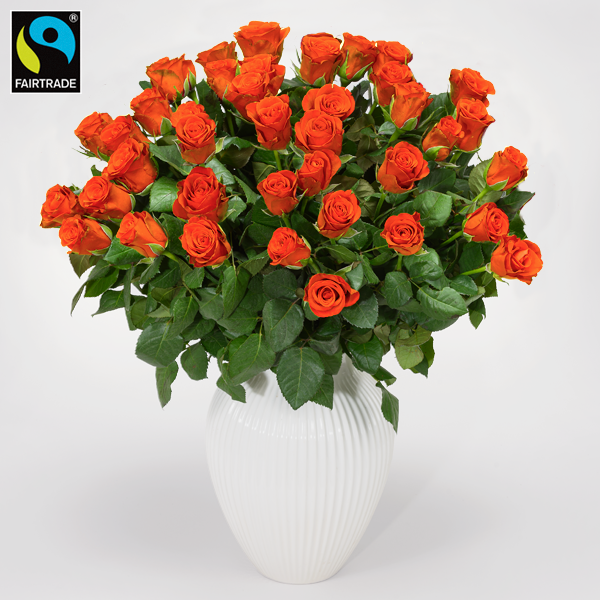 floraprima Orange Fairtrade Rosen im Bund