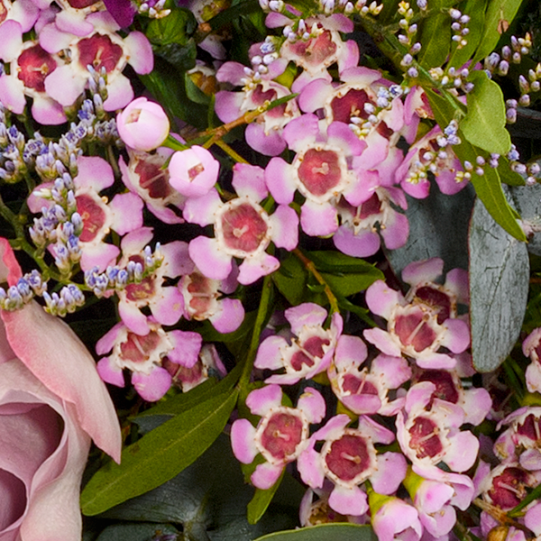 floraprima Premiumstrauß Traumhaft mit Premiumvase & Ferrero Giotto 3er Günstig kaufen