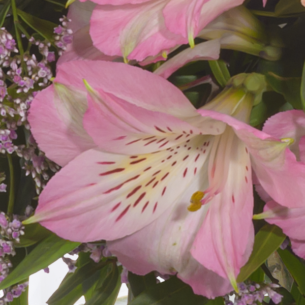 floraprima Premiumstrauß Blütenliebe mit Premiumvase & Ferrero Giotto 3er