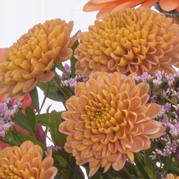 floraprima Premiumstrauß Blütenliebe mit Premiumvase & Ferrero Giotto 3er Versandkostenfrei