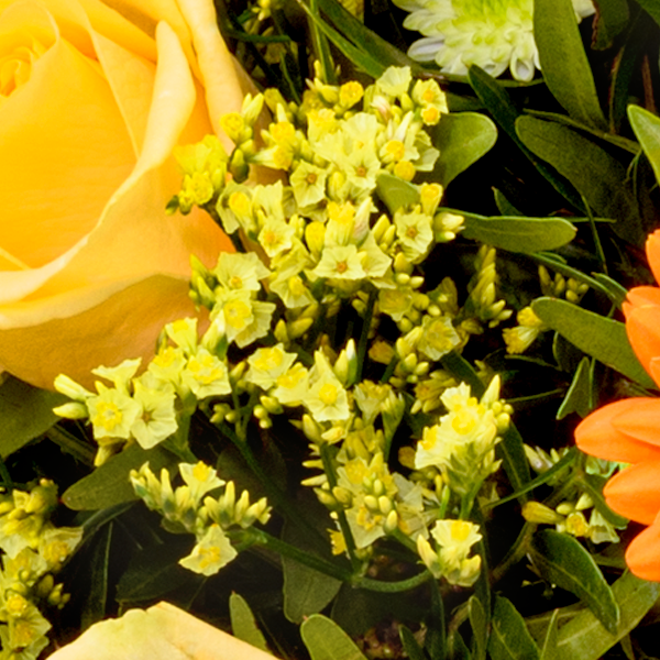 floraprima Premiumstrauß „Zum Geburtstag“ mit Premiumvase & Ferrero Giotto 3er Großer Ausverkauf
