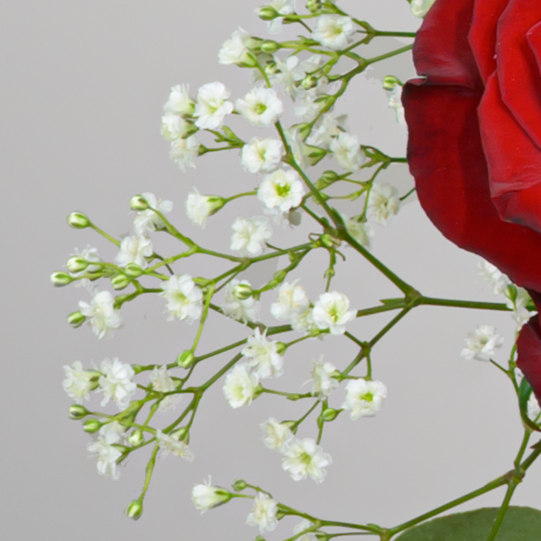 floraprima Premiumstrauß Märchenhaft mit Premiumvase & Ferrero Giotto 3er