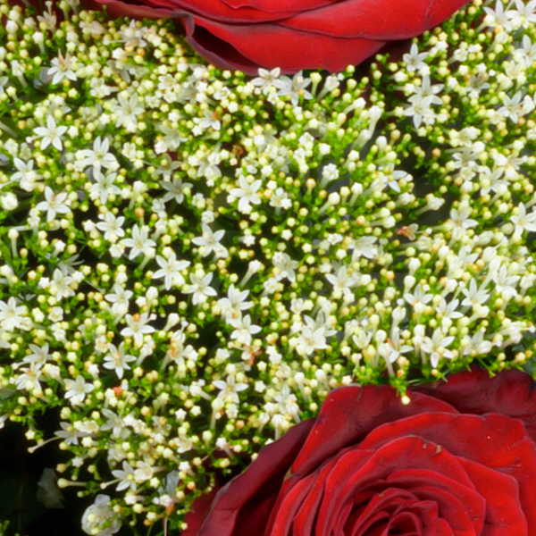 floraprima Premiumstrauß Märchenhaft mit Premiumvase & Ferrero Giotto 3er Preisnachlass