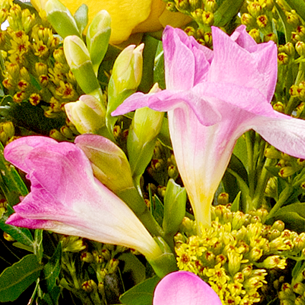 floraprima Premiumstrauß Blütenzauber mit Premiumvase & Ferrero Giotto 3er Saisonschlussverkauf