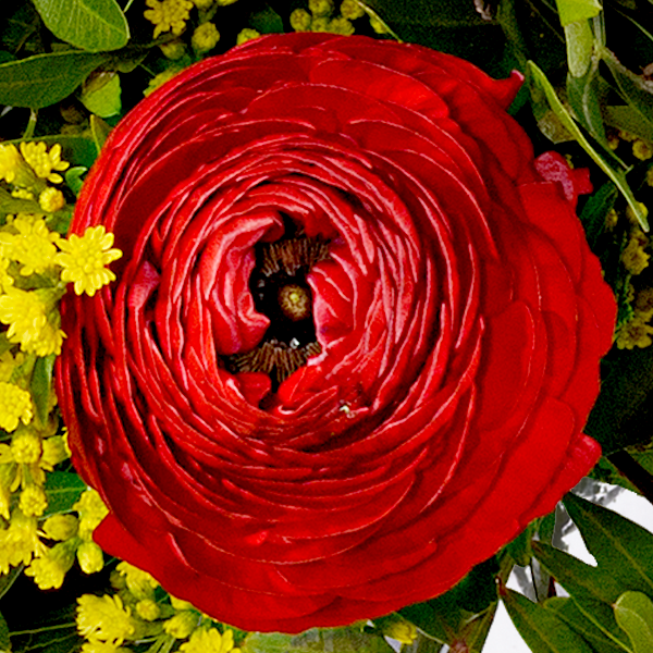 floraprima Premiumstrauß Blütenzauber mit Premiumvase & Ferrero Giotto 3er Saisonschlussverkauf