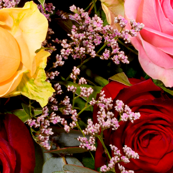 floraprima Premiumstrauß Rosenfest mit Premiumvase & Ferrero Giotto 3er Black Friday