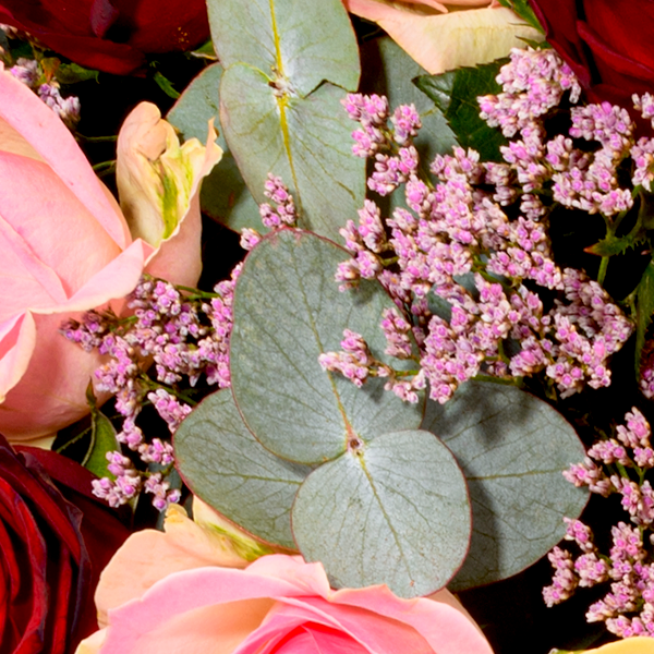 floraprima Premiumstrauß Rosenfest mit Premiumvase & Ferrero Giotto 3er Black Friday