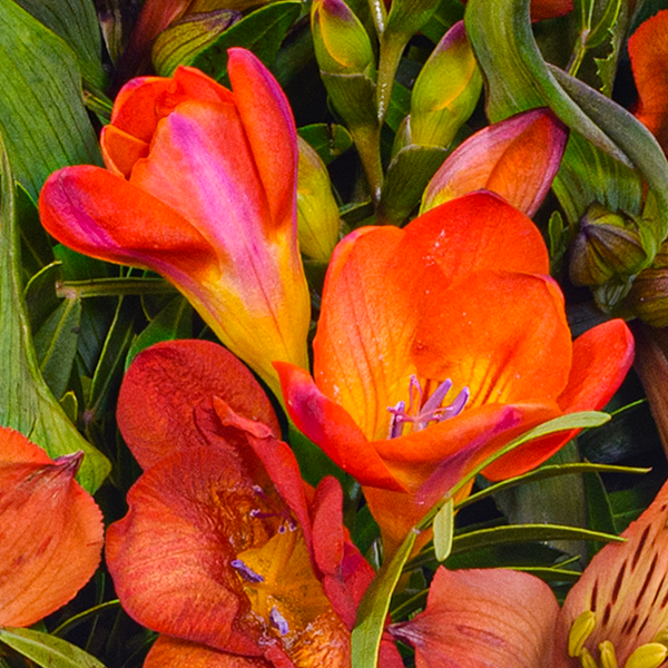 floraprima Blumenstrauß Blumensymphonie mit Vase & Ferrero Giotto 3er