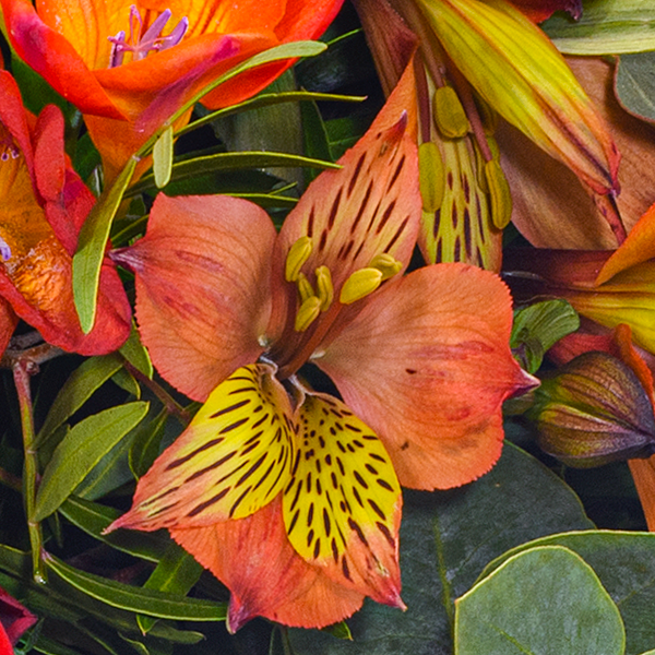floraprima Blumenstrauß Blumensymphonie mit Vase & Ferrero Giotto 3er Vatertagsangebot