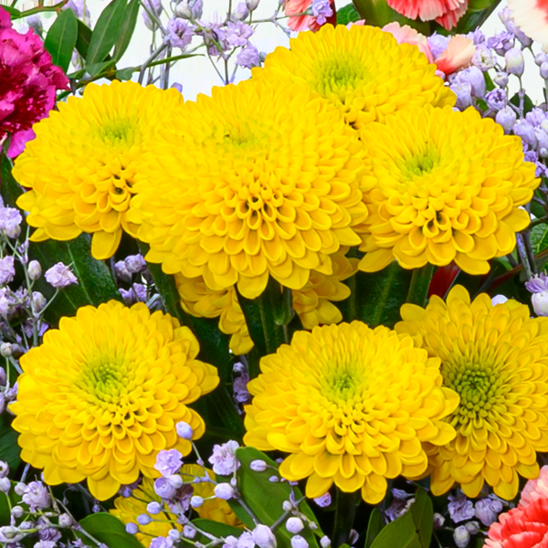 floraprima Blumenstrauß Blütenfreude mit Vase & Ferrero Giotto 3er Valentinstagsangebot