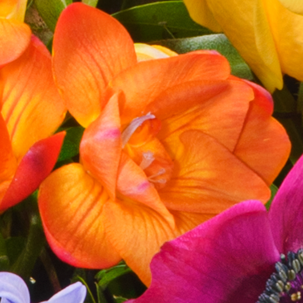 floraprima Blumenstrauß Farbenfreude mit Vase & Ferrero Giotto 3er Lagerräumung