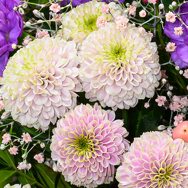 floraprima Blumenstrauß Blütentraum mit Vase & Ferrero Giotto 3er