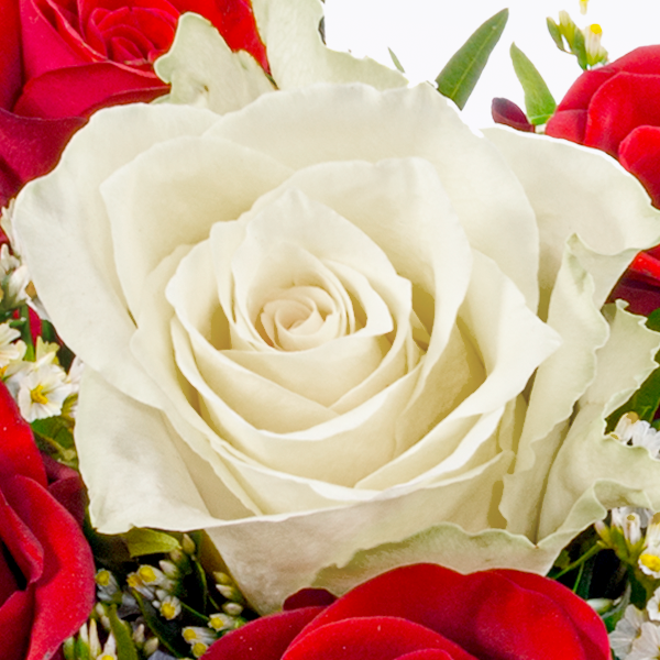 floraprima Rosenstrauß Romeo mit Vase & Ferrero Giotto 3er