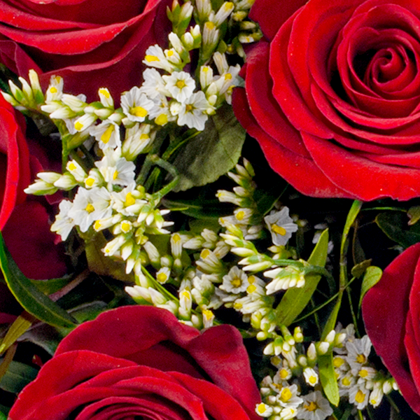 floraprima Rosenstrauß Romeo mit Vase & Ferrero Giotto 3er Zeitlich begrenztes Angebot
