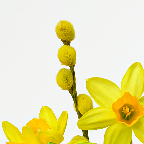floraprima Arrangement Frühlingshauch Neuheiten