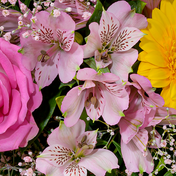 floraprima Blumenstrauß Farbentanz mit Vase & Ferrero Giotto 3er