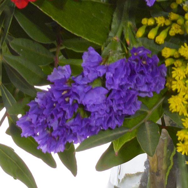 floraprima Blumenstrauß Frühlingsbeginn mit Vase & Ferrero Giotto 3er