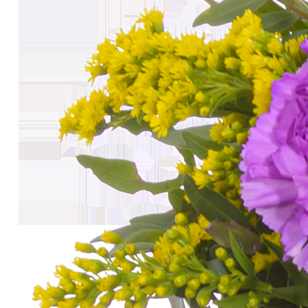 floraprima Blumenstrauß Frühlingsbeginn mit Vase & Ferrero Giotto 3er VIP-Rabatte