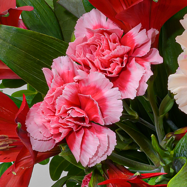 floraprima Blumenmix Liebesschwur mit Ferrero Giotto 3er Kostenlose Rückgabe