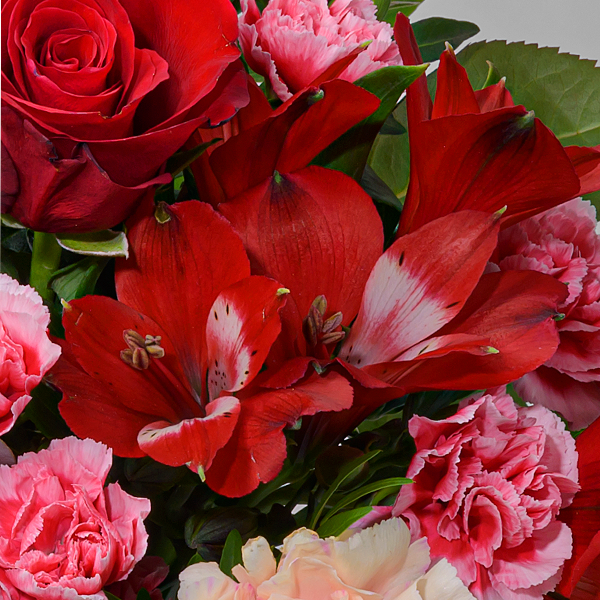 floraprima Blumenmix Liebesschwur mit Ferrero Giotto 3er Kostenlose Rückgabe