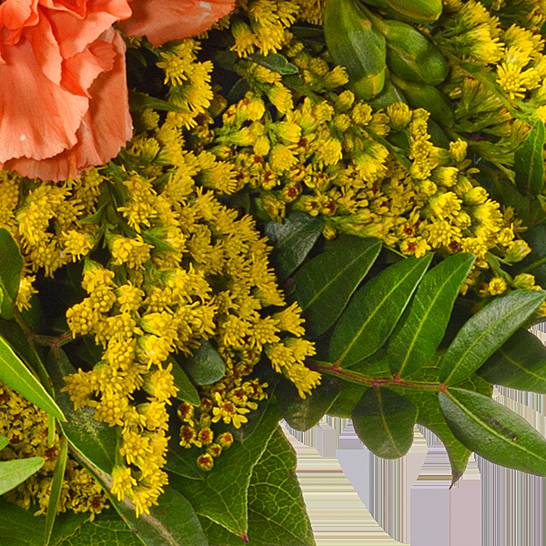 floraprima Blumenstrauß Sonnenschein mit Vase & Ferrero Giotto 3er Begrenzte Freigabe