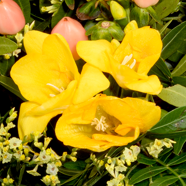 floraprima Blumenstrauß Frühlingszauber mit Vase & Ferrero Giotto 3er