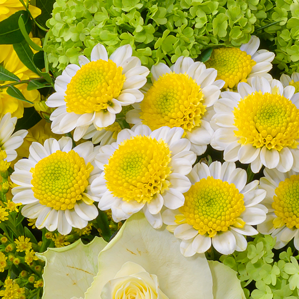 floraprima Blumenstrauß Glücksgefühl mit Vase & Ferrero Giotto 3er Neueste Stile