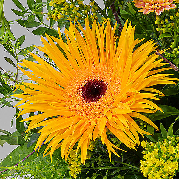 floraprima Blumenstrauß Süßer Traum mit Vase & Ferrero Giotto 3er Letzte 2 Tage