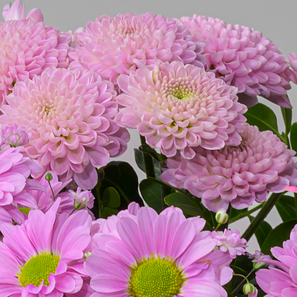 floraprima Blumenmix Frühlingstraum mit Ferrero Giotto 3er