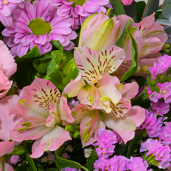 floraprima Blumenmix Frühlingstraum mit Ferrero Giotto 3er Letzter Tag