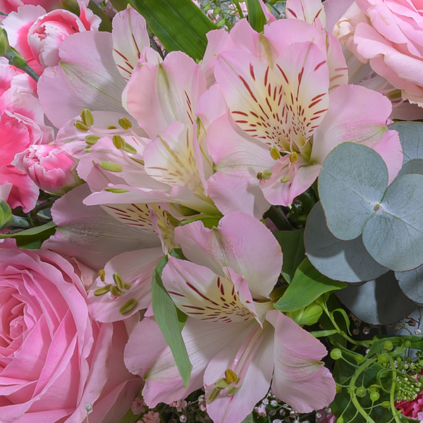 floraprima Blumenmix Frühlingsduft mit Ferrero Giotto 3er