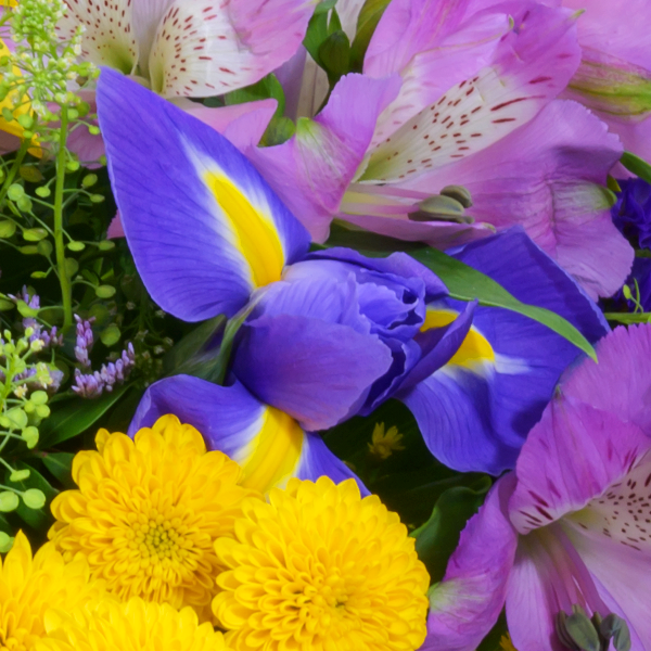 floraprima Blumenstrauß Frühlingsfest mit Vase & Ferrero Giotto 3er Nur für heute