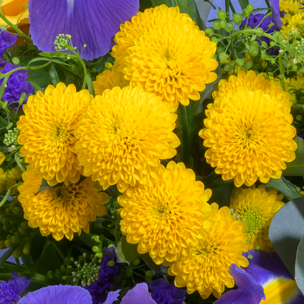 floraprima Blumenmix Frühlingsgedicht mit Ferrero Giotto 3er