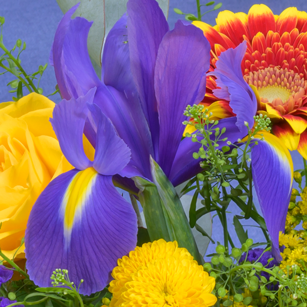 floraprima Blumenmix Frühlingsgedicht mit Ferrero Giotto 3er Sonderangebot der Fabrik