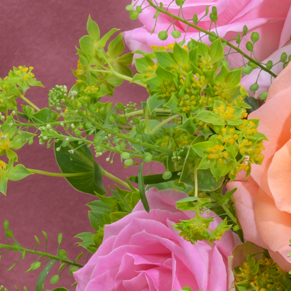 floraprima Blumenmix Samtweich mit Ferrero Giotto 3er