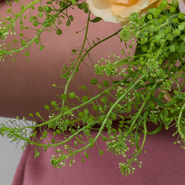 floraprima Blumenmix Samtweich mit Ferrero Giotto 3er Vierteljährliche Förderung