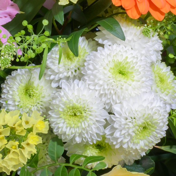 floraprima Blumenstrauß Paradiesschönheit mit Vase & Ferrero Giotto 3er Bis zu 55% Rabatt