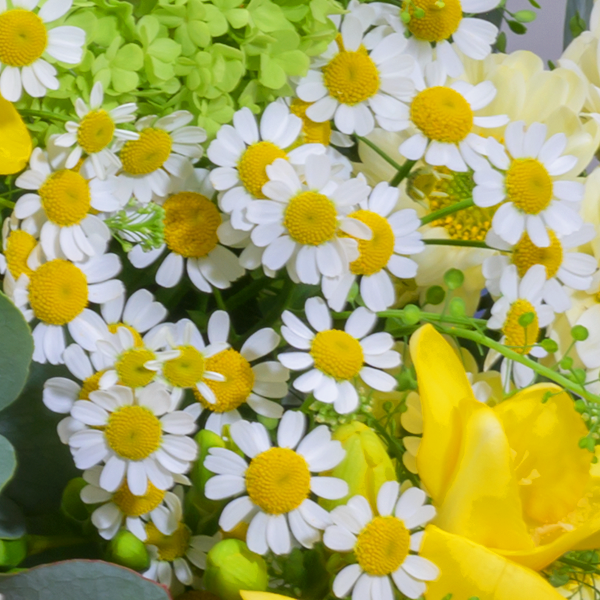 floraprima Blumenstrauß Frühlingswiese mit Vase & Ferrero Giotto 3er