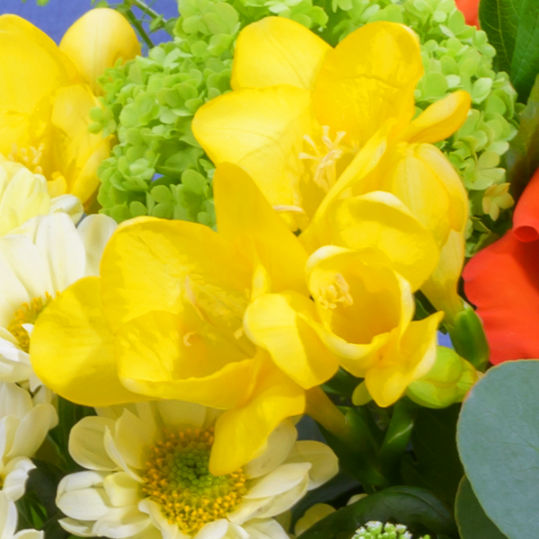floraprima Blumenstrauß Frühlingswiese mit Vase & Ferrero Giotto 3er Discount Store für neue Produkte