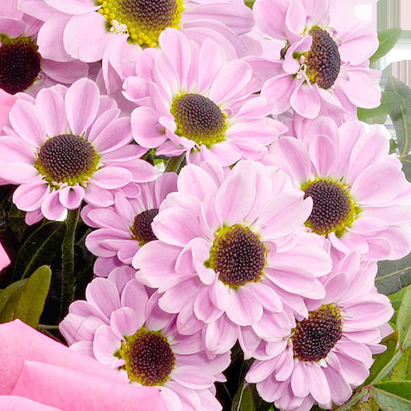 floraprima Blumenstrauß Freude mit 2 Kinokarten & Vase