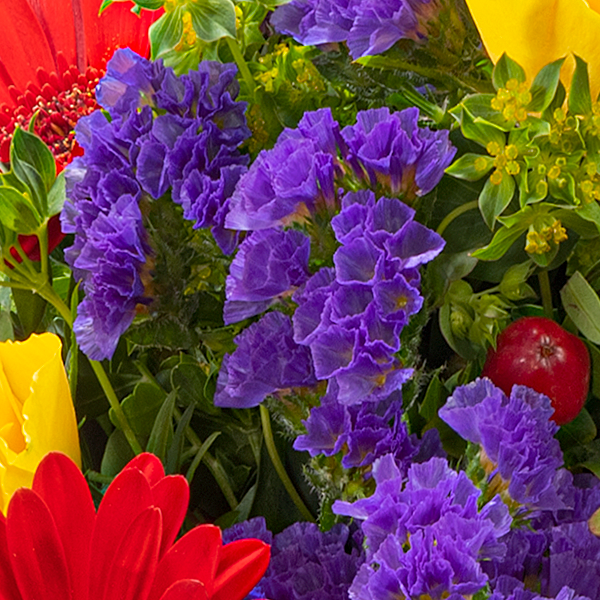 floraprima Blumenstrauß Blütenfee mit Vase Im Verkauf