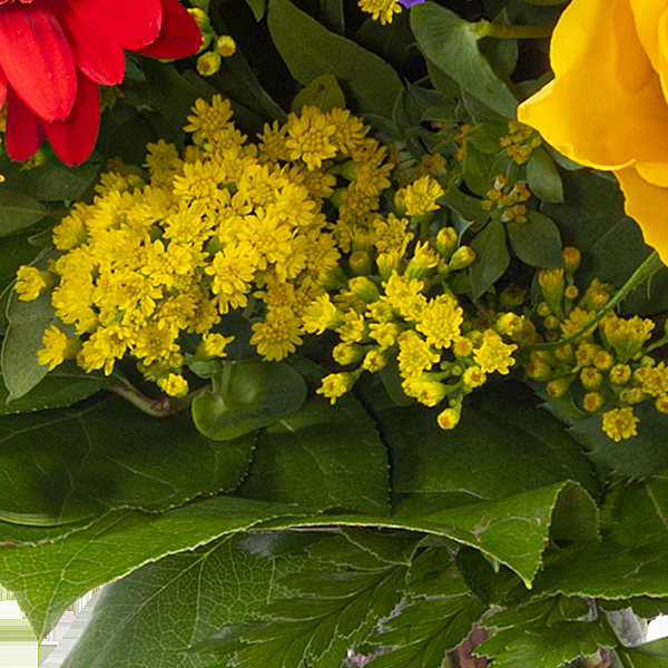 floraprima Blumenstrauß Blütenfee mit Vase Im Verkauf