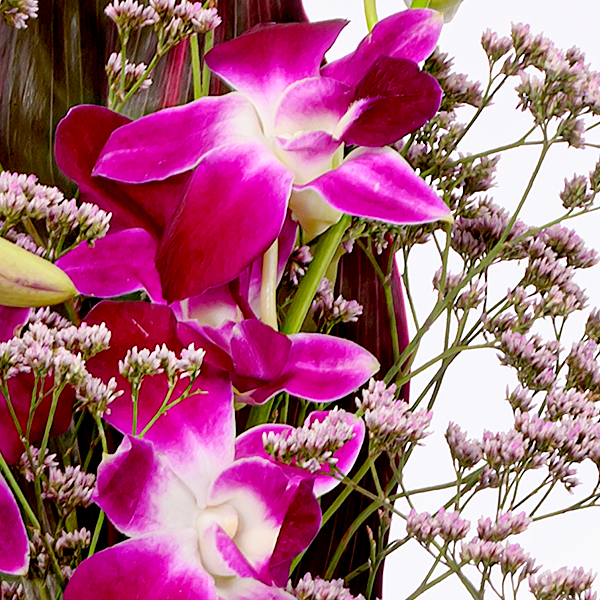 floraprima Asiatische Orchideen mit Vase