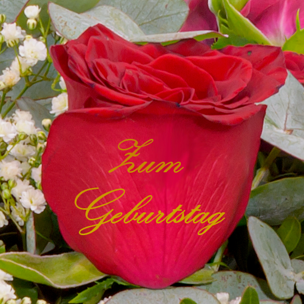 floraprima Blumenstrauß „Zum Geburtstag“ mit Vase & Ferrero Giotto 3er Outlet