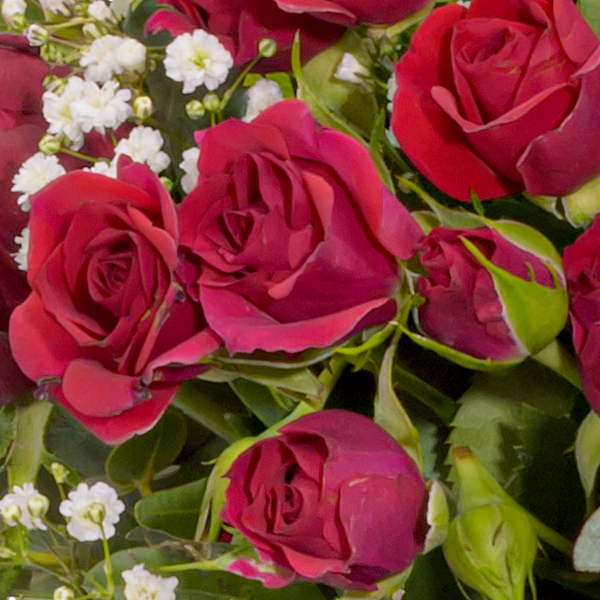 floraprima Blumenstrauß „Zum Geburtstag“ mit Vase & Ferrero Giotto 3er Outlet