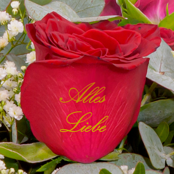 floraprima Blumenstrauß „Alles Liebe“ mit Vase & Ferrero Giotto 3er