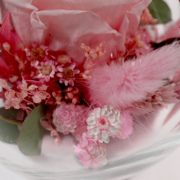 floraprima Haltbare Rose im Glas