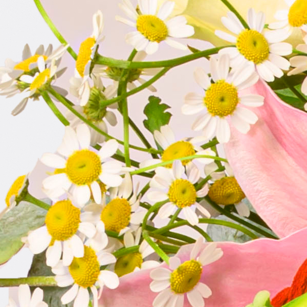 floraprima Premiumstrauß Blütenzauber mit Premiumvase & Ferrero Giotto 3er
